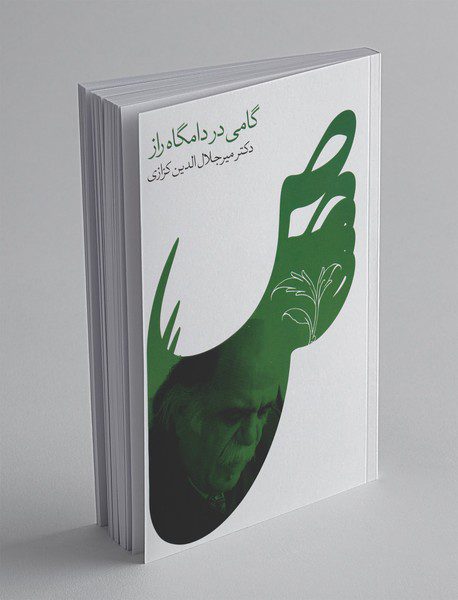 گامی در دامگاه راز