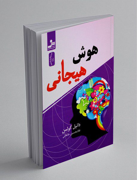 هوش هیجانی