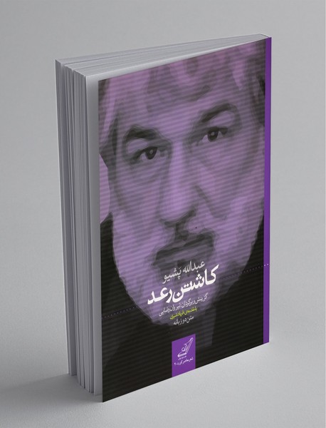 کاشتن رعد