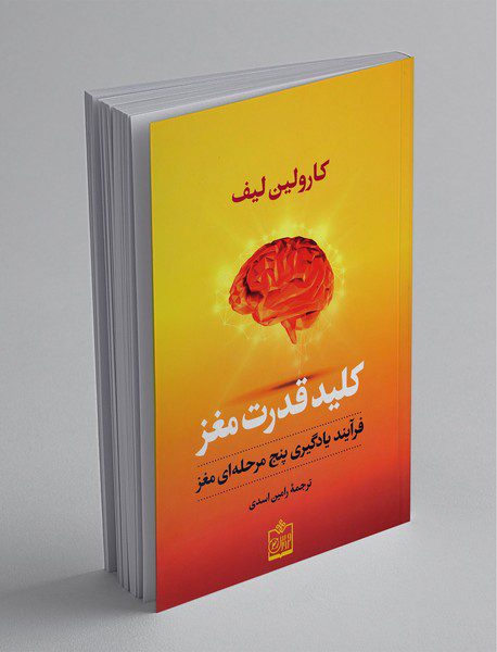 کلید قدرت مغز