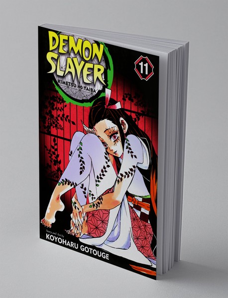 Demon Slayer 11