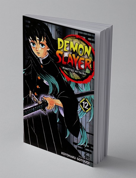 Demon Slayer 12