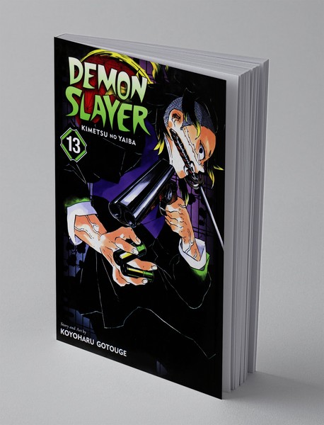 Demon Slayer 13