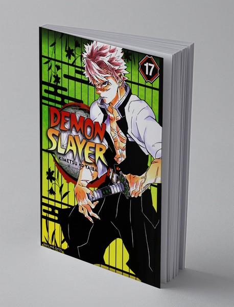 Demon Slayer 17