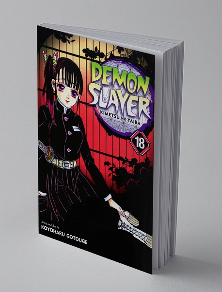 Demon Slayer 18