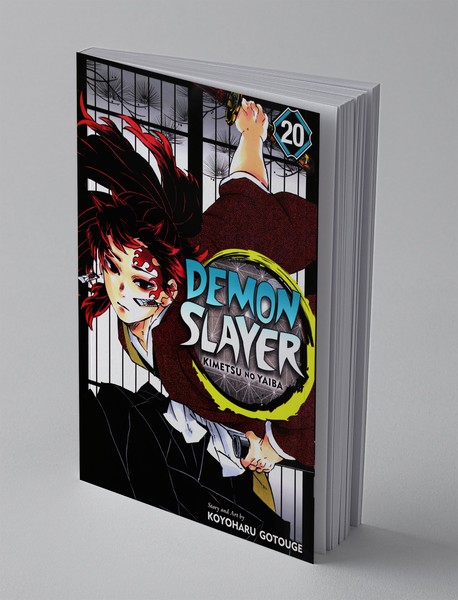 Demon Slayer 20