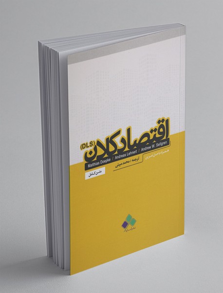 اقتصاد کلان DLS