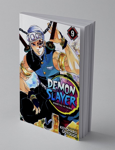 Demon Slayer 9 Demon Slayer 9