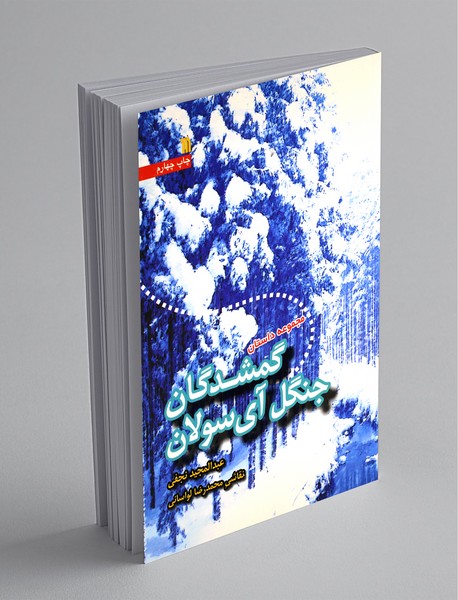 مجموعه داستان گمشدگان جنگل آی سولان مجموعه داستان گمشدگان جنگل آی سولان