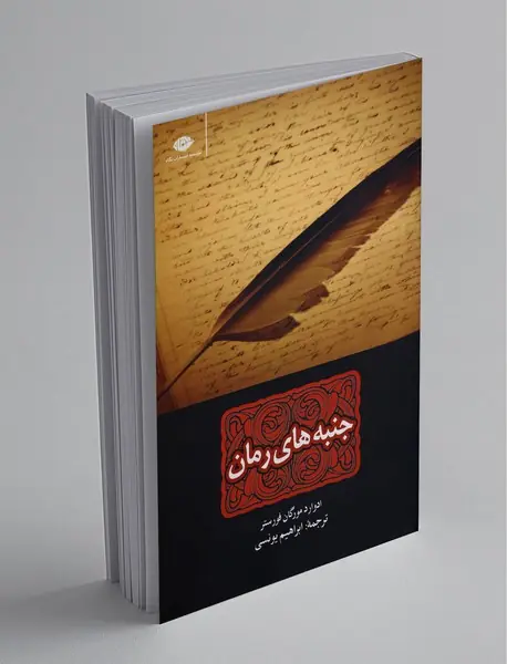 جنبه‌های رمان