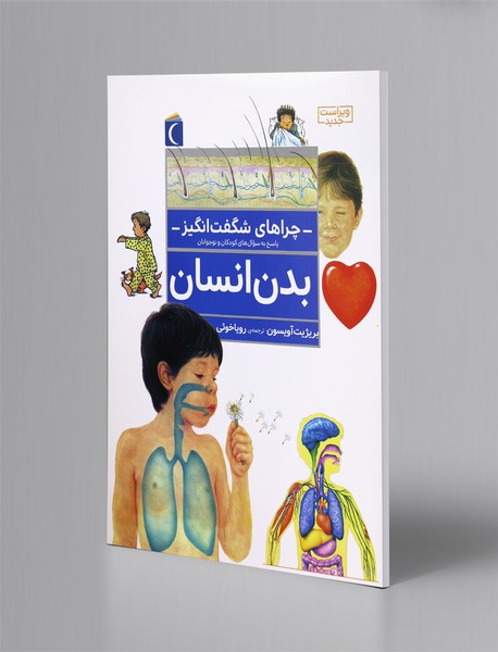 بدن انسان بدن انسان