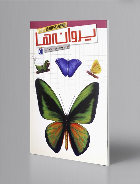 پروانهها پروانهها