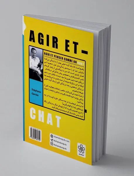 گربه راهنمای ما