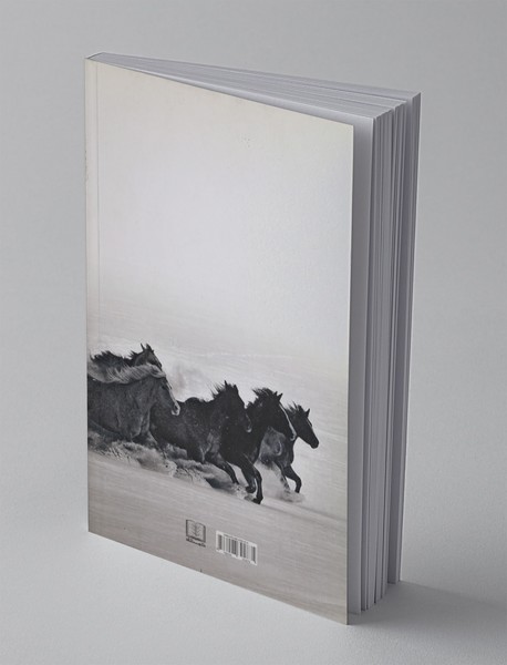 اسب هایی که در صحرا می دوند