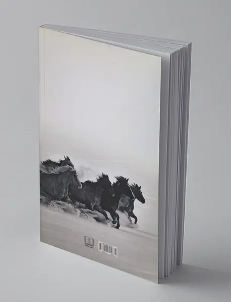 اسب هایی که در صحرا می دوند