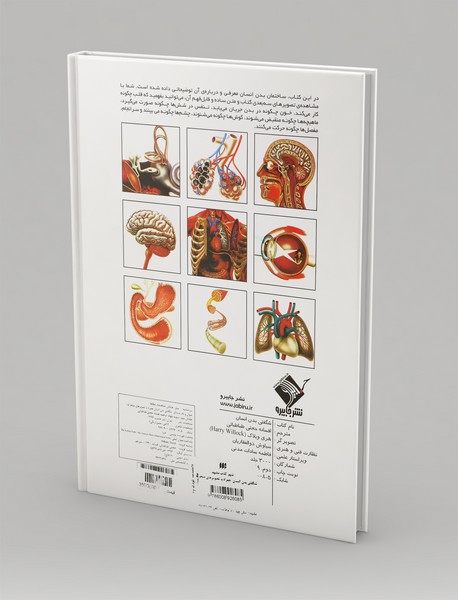 شگفتی بدن انسان