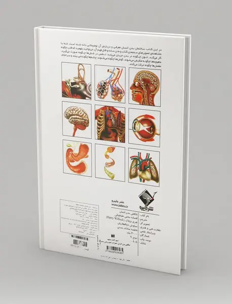 شگفتی بدن انسان