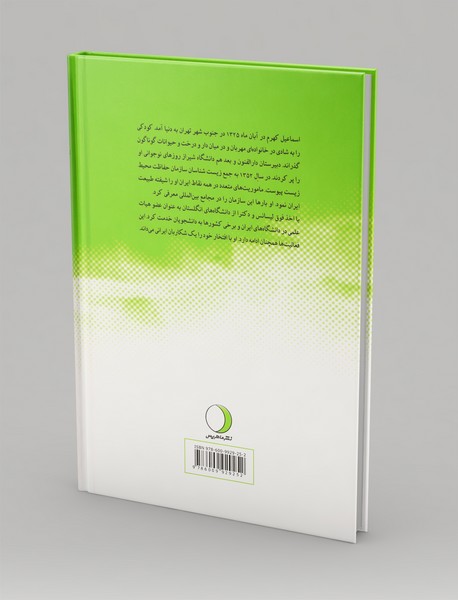 خاطرات یک عابر