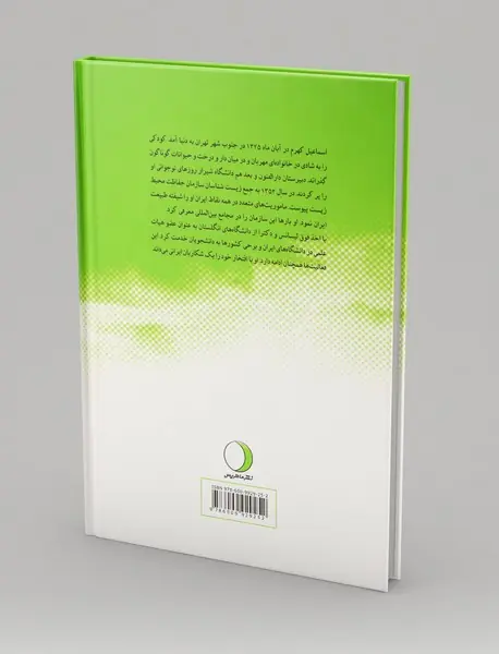 خاطرات یک عابر