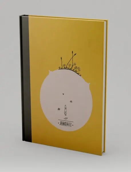 شازده کوچولو