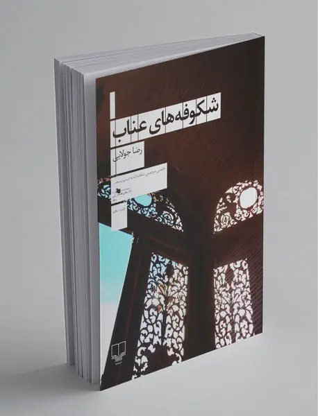 شکوفه های عناب شکوفه های عناب