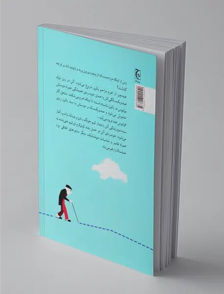 دیگر ماجراهای اتفاقی مرد صد ساله