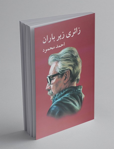 زائری زیر باران