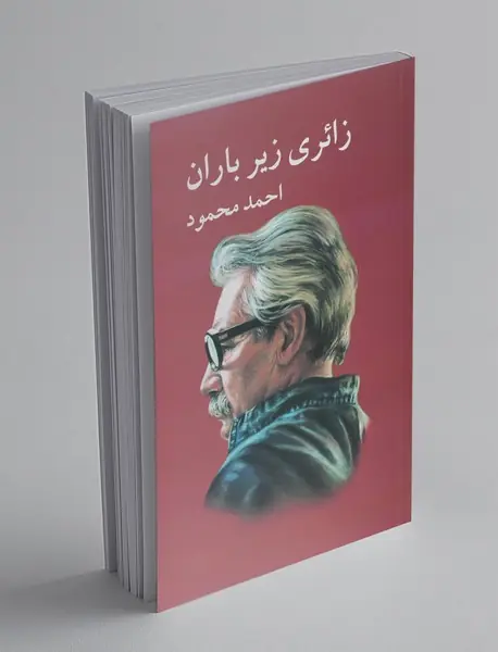 زائری زیر باران