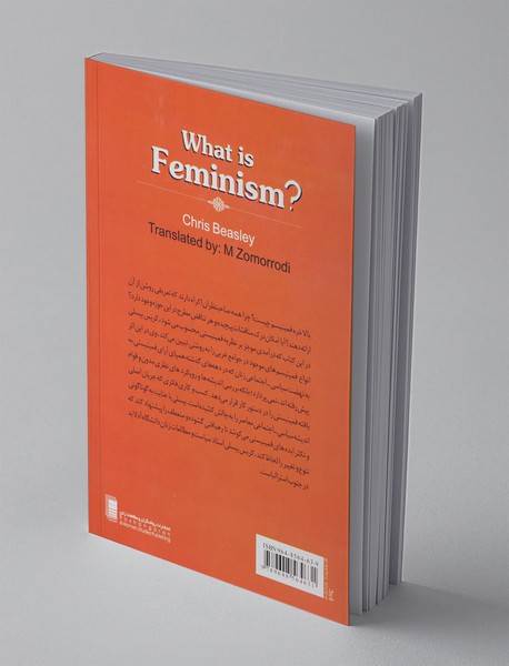 چیستی فمینیسم
