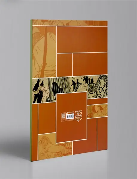 پهلوان شیردل قصه‌ای از زندگی پهلوان میرکاشی