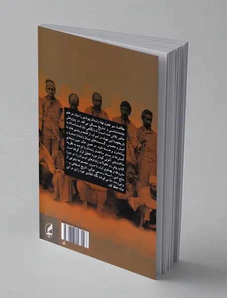 فرآیند ساخت یابی نهاد زندان