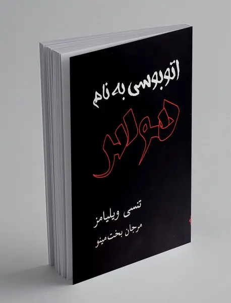 اتوبوسی به نام هوس