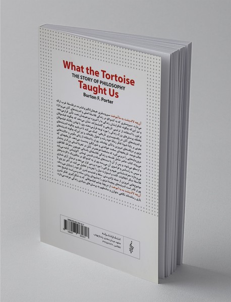 آن چه لاک پشت به ما آموخت