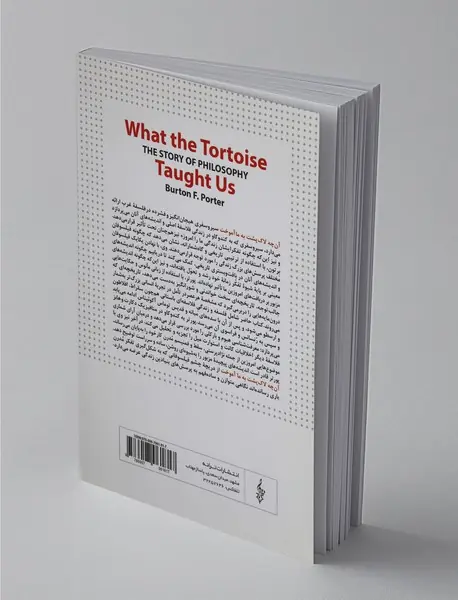 آن چه لاک پشت به ما آموخت