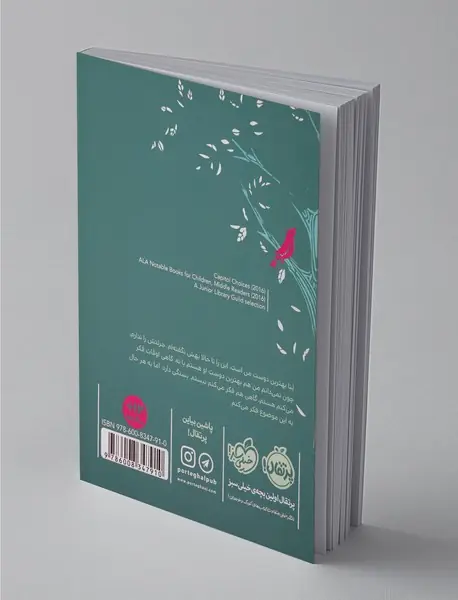 از تابستان تا تابستان