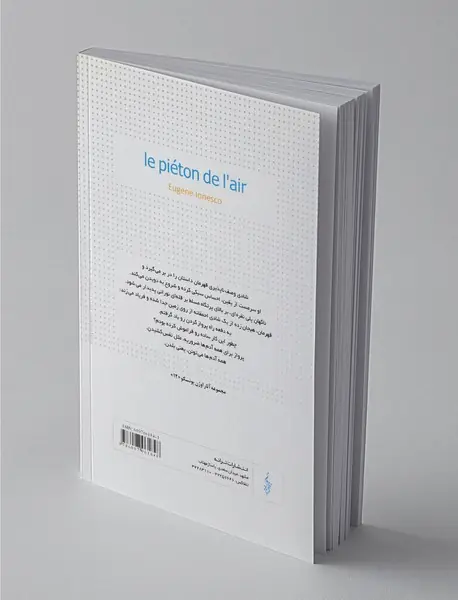 پیاده در هوا