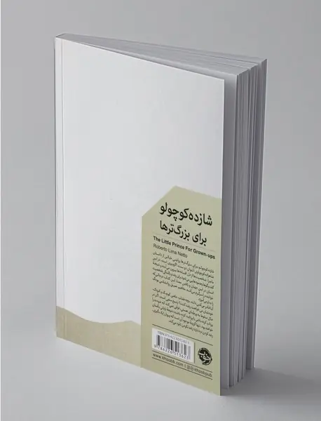 شازده کوچولو برای بزرگترها