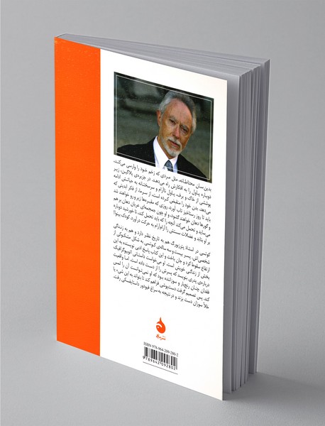 استاد پترزبورگ