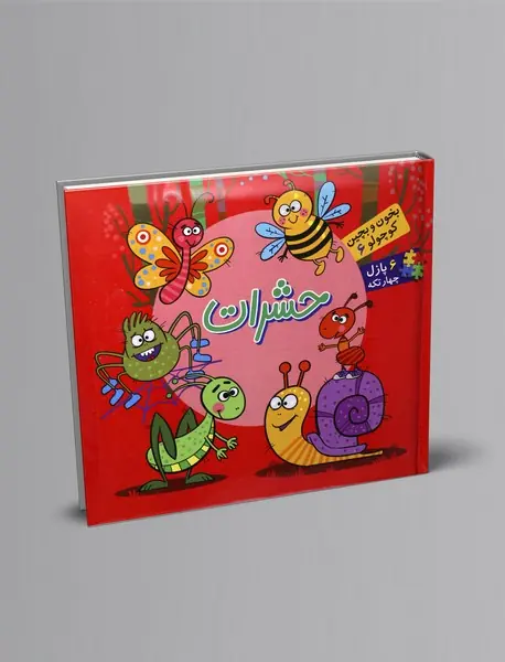 حشرات حشرات