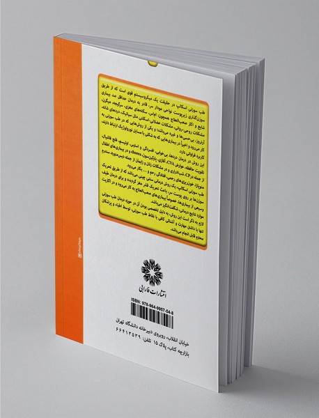 راهنمای عملی طب سوزنی اسکالپ ناحیه سر و جمجمه