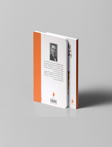 یادداشت های یک پزشک جوان