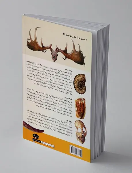 تاریخچه پیدایش حیات