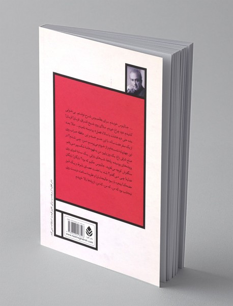 هاملت با سالاد فصل