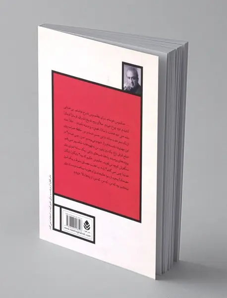 هاملت با سالاد فصل