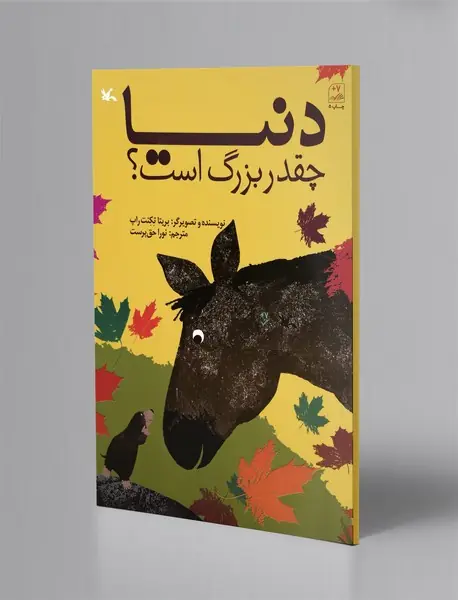 دنیا چقدر بزرگ است؟