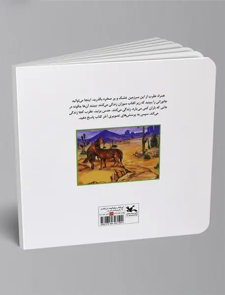 من کجا هستم؟