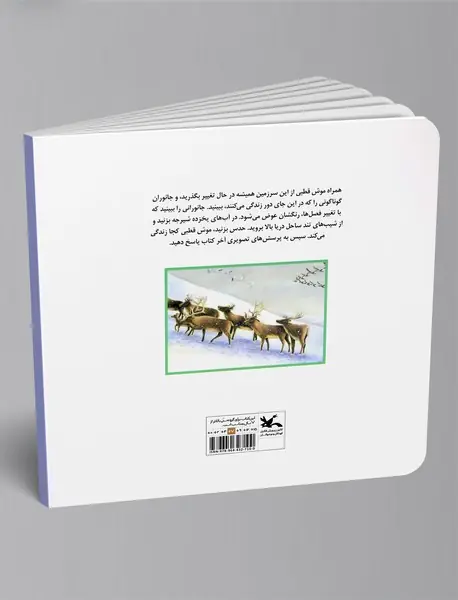 من کجا هستم؟