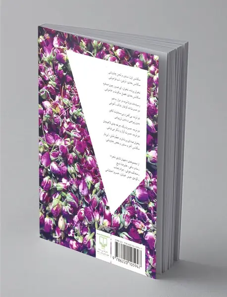 گزیده‌ای از تئوری انتخاب + CD