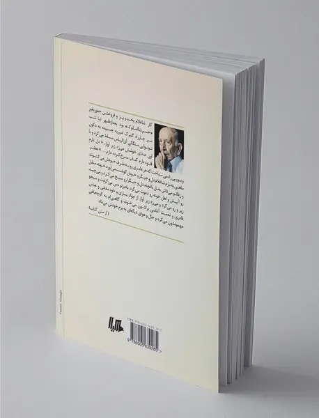 مردی که هیچ بود