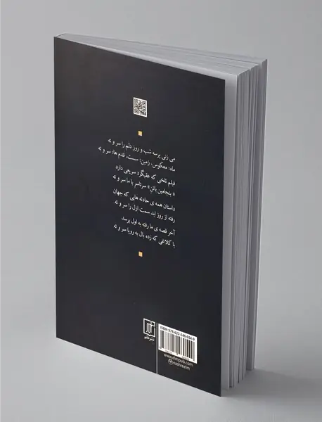 با بنجامین باتن وسط حوضی از غزل